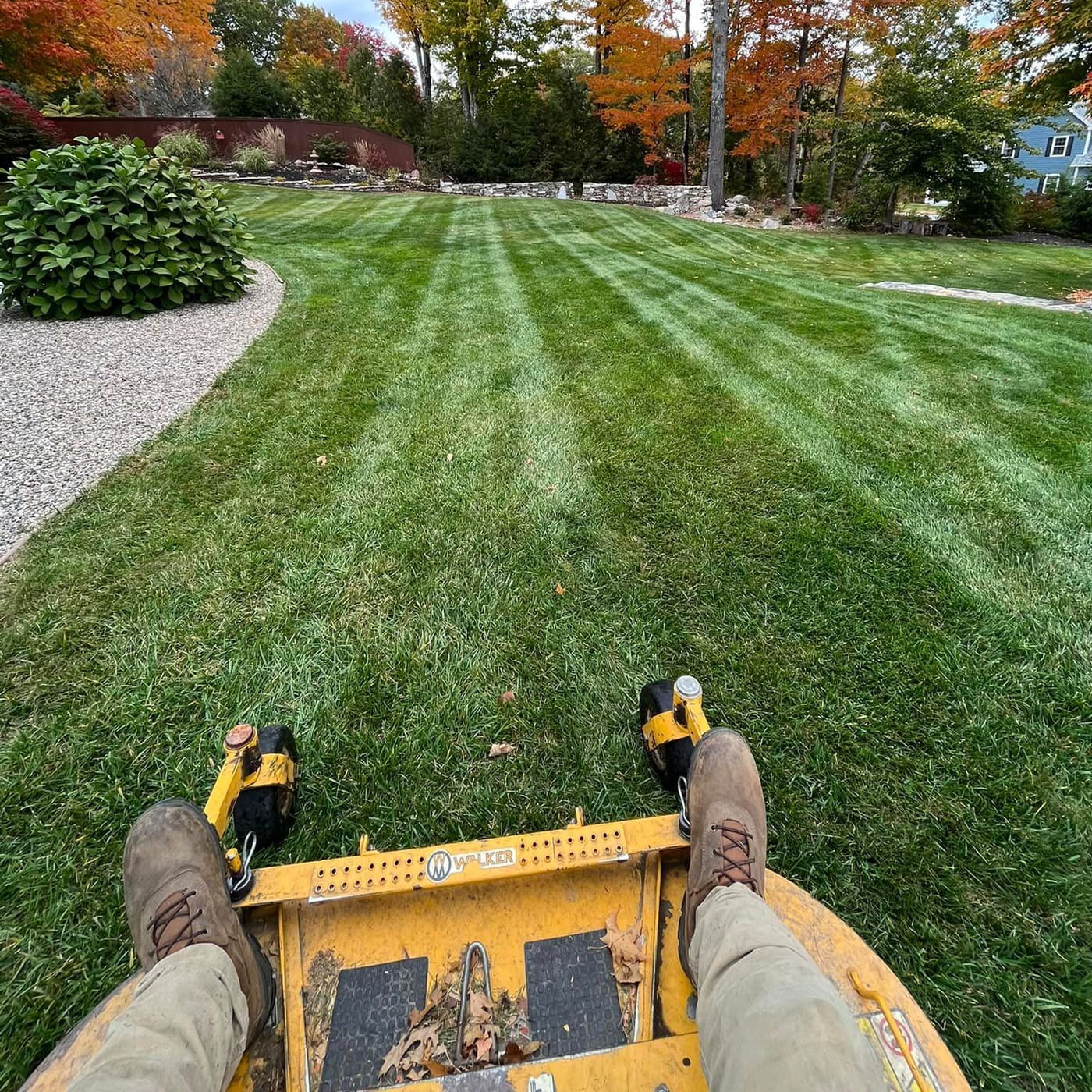 Lawn Care